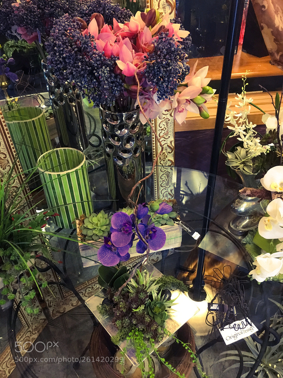 Apple iPhone 6s sample photo. Untitled photography