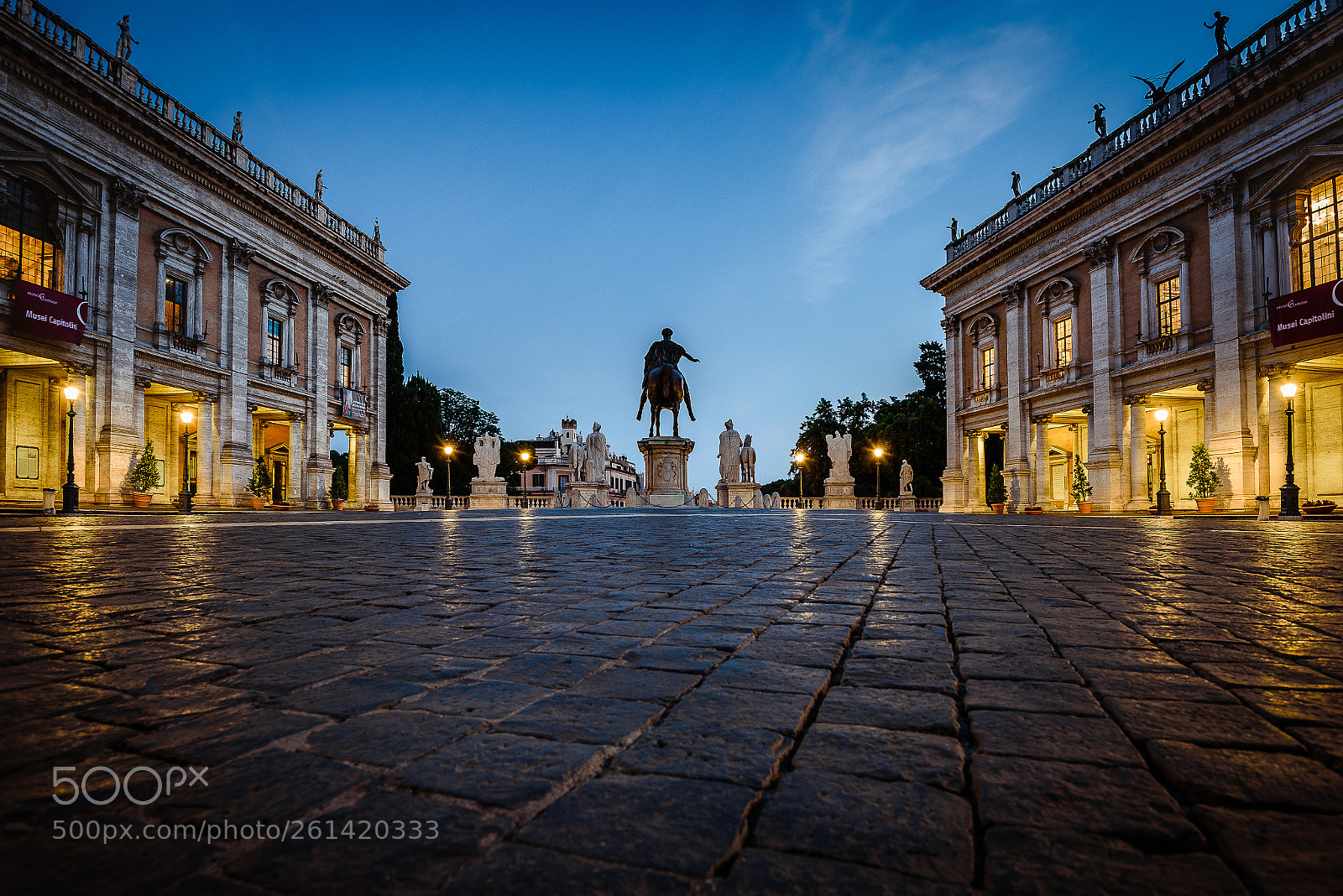 Nikon D750 sample photo. Ave marco aurelio photography