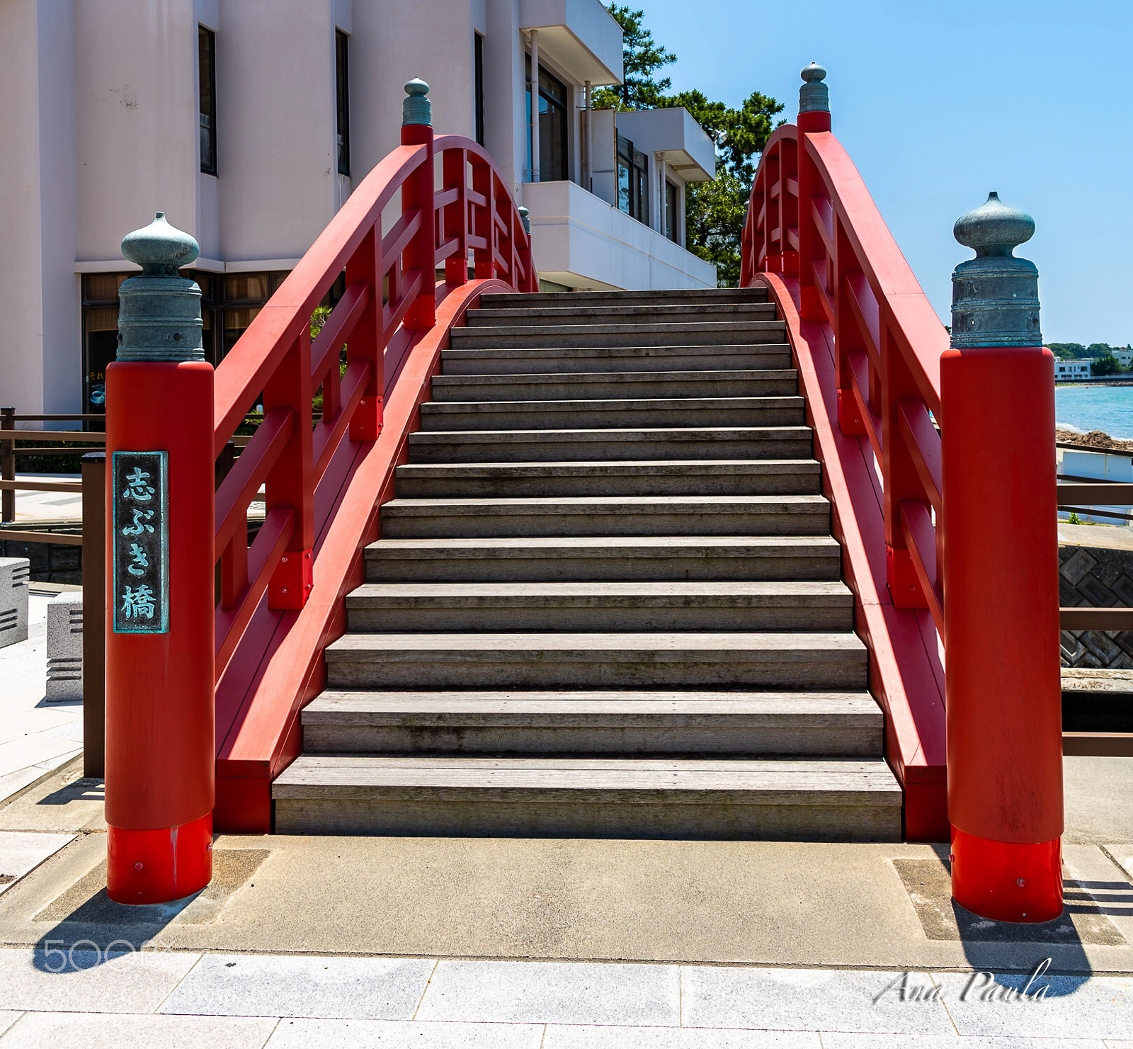 Nikon D750 sample photo. Bridge photography