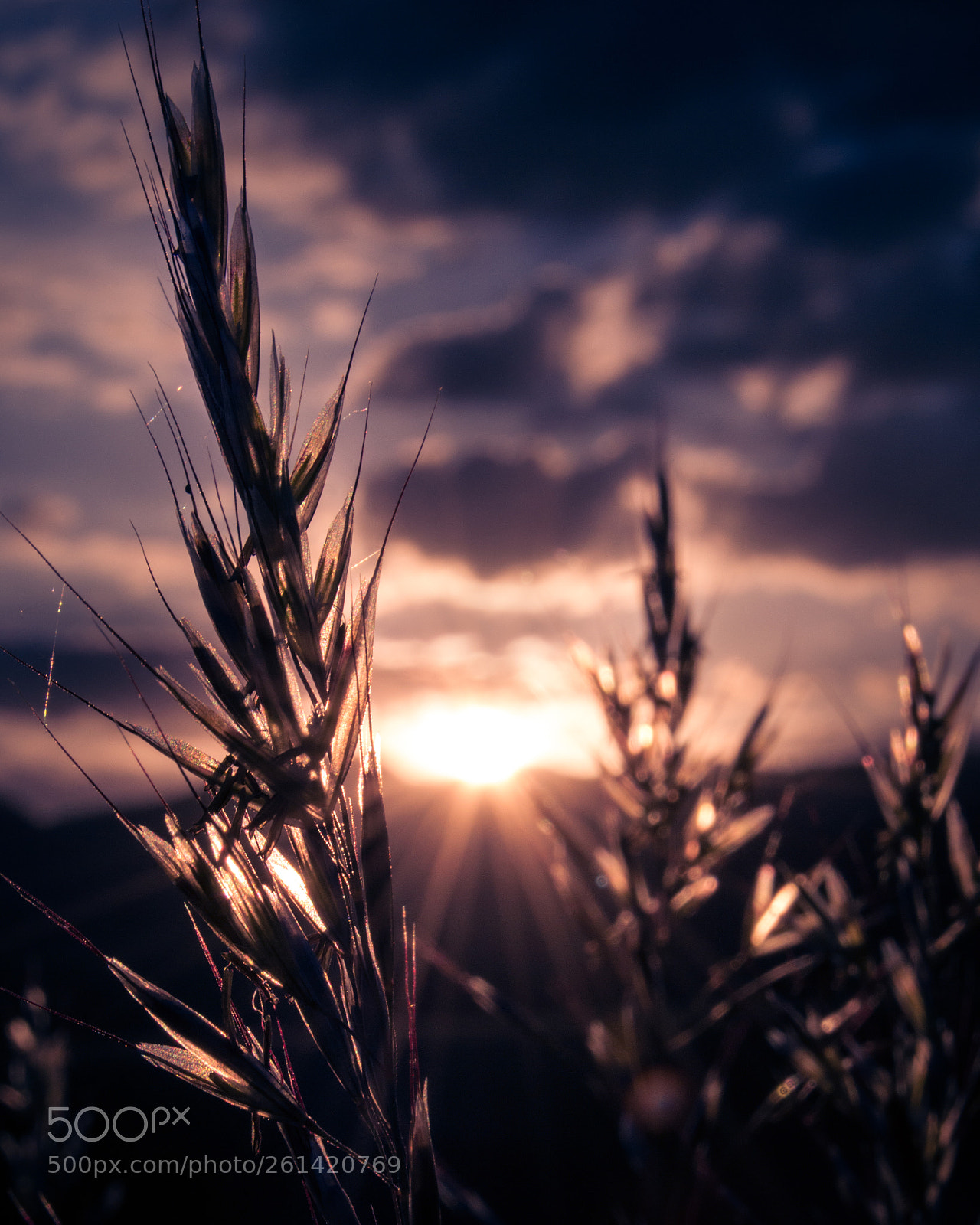 Nikon D3200 sample photo. Sunset photography