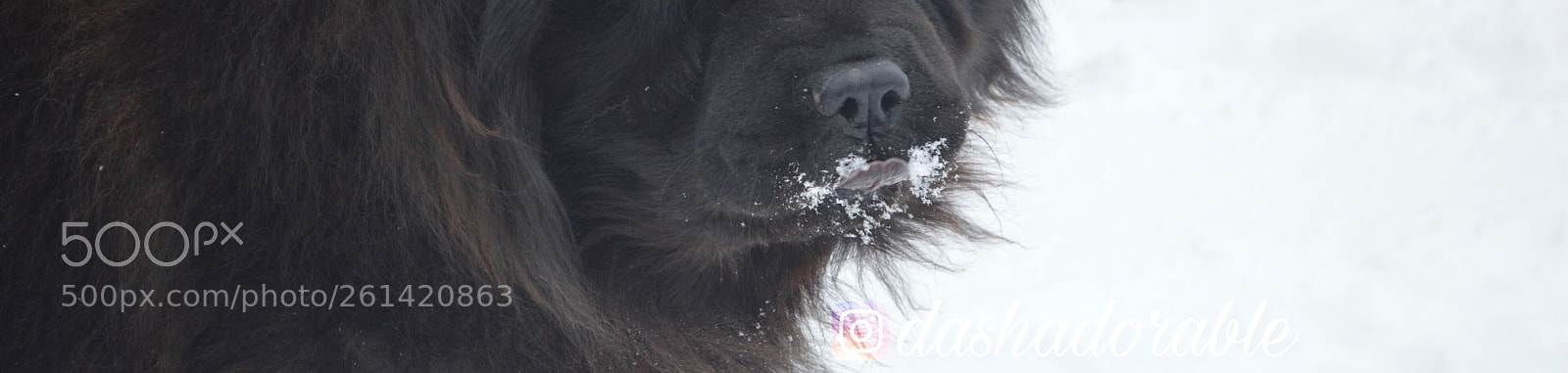 Nikon D3200 sample photo. Untitled photography
