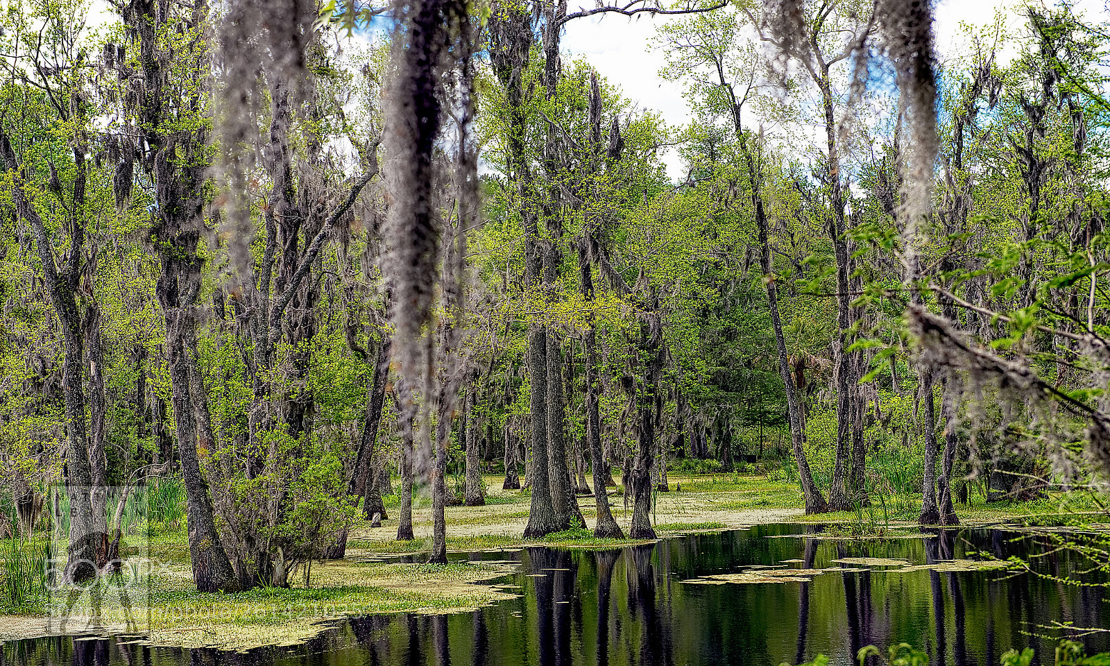 Nikon D800E sample photo. Serenity  1821 photography