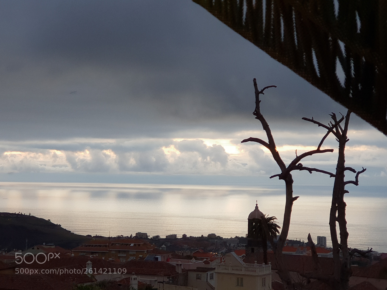 Samsung Galaxy S9+ sample photo. La belleza del instante photography