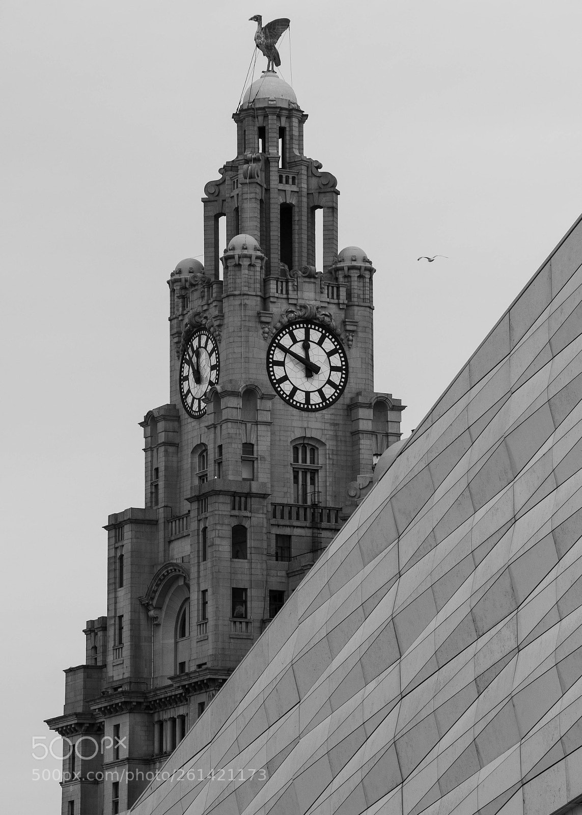 Canon EOS 600D (Rebel EOS T3i / EOS Kiss X5) sample photo. Liver building photography