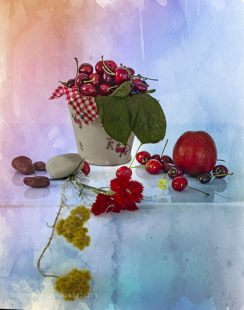 Nikon D610 sample photo. Dream photography