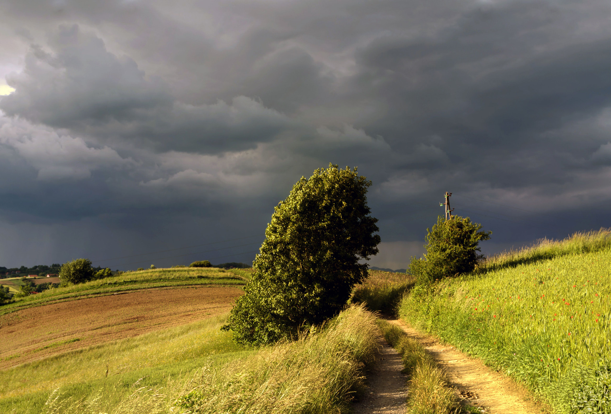 Pentax K-5 II sample photo. Path to the fields photography