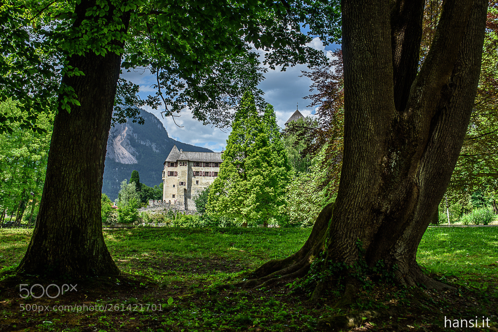 Nikon D750 sample photo. Trees in the castle photography