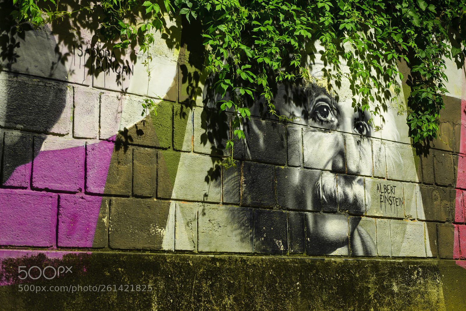 Nikon D610 sample photo. Albert einstein painting photography