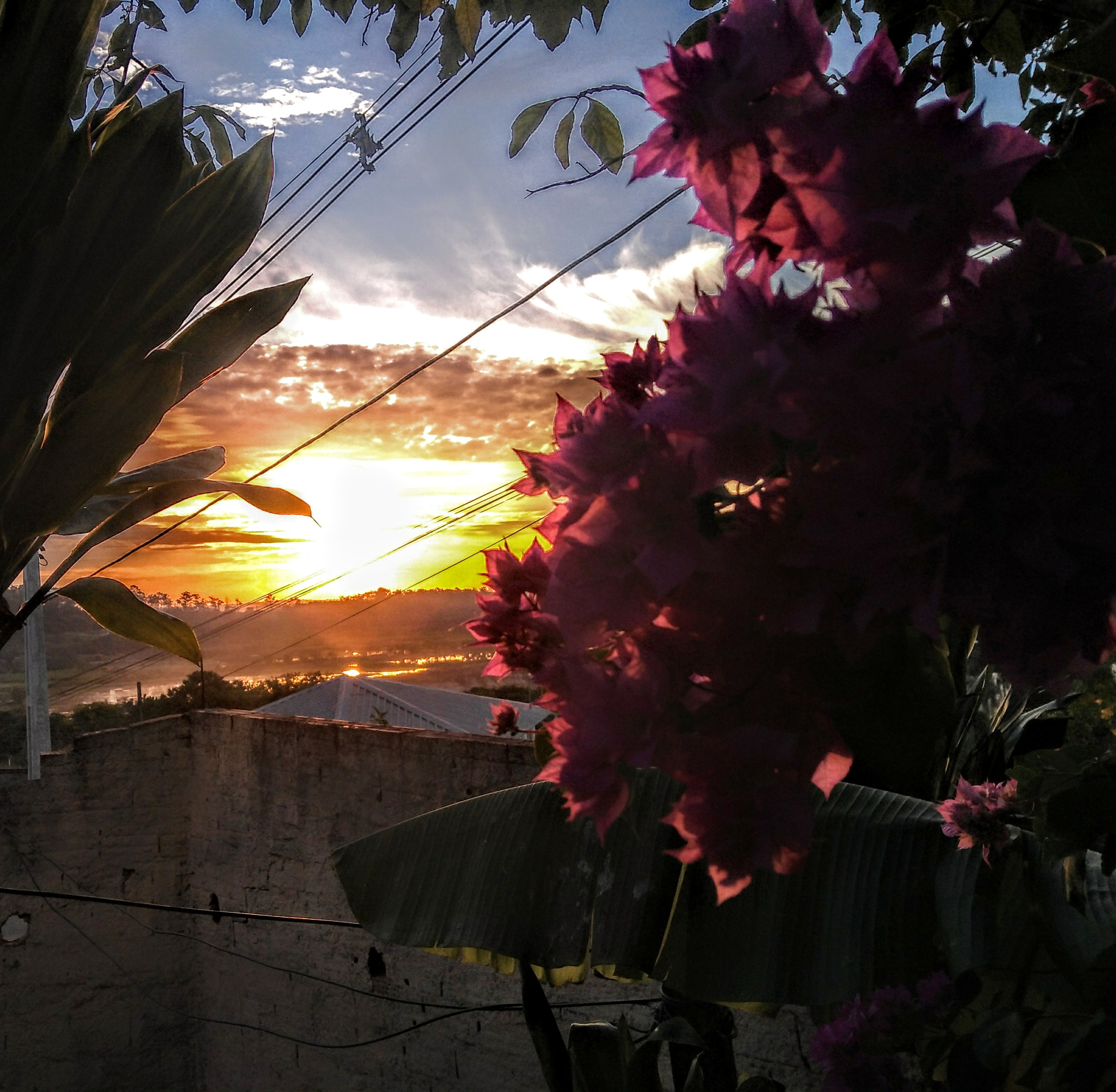 Motorola Moto G (5S) Plus sample photo. Gone ! photography