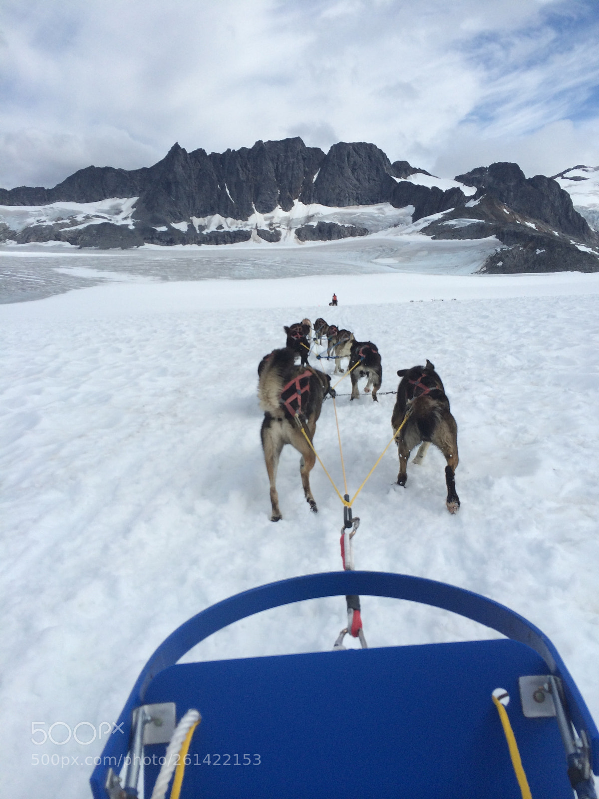 Apple iPhone 5s sample photo. Ak-sledding photography
