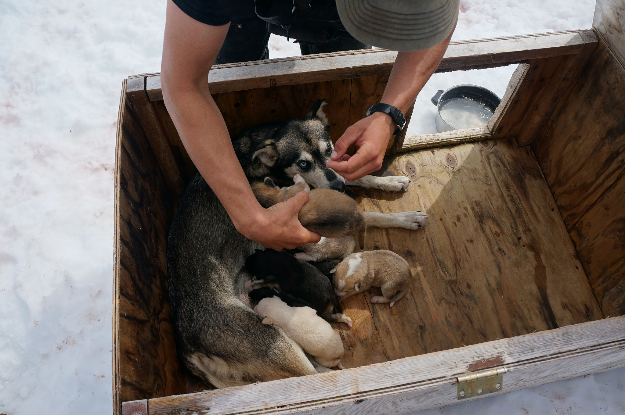 Sony Alpha NEX-5R sample photo. Ak-litter photography