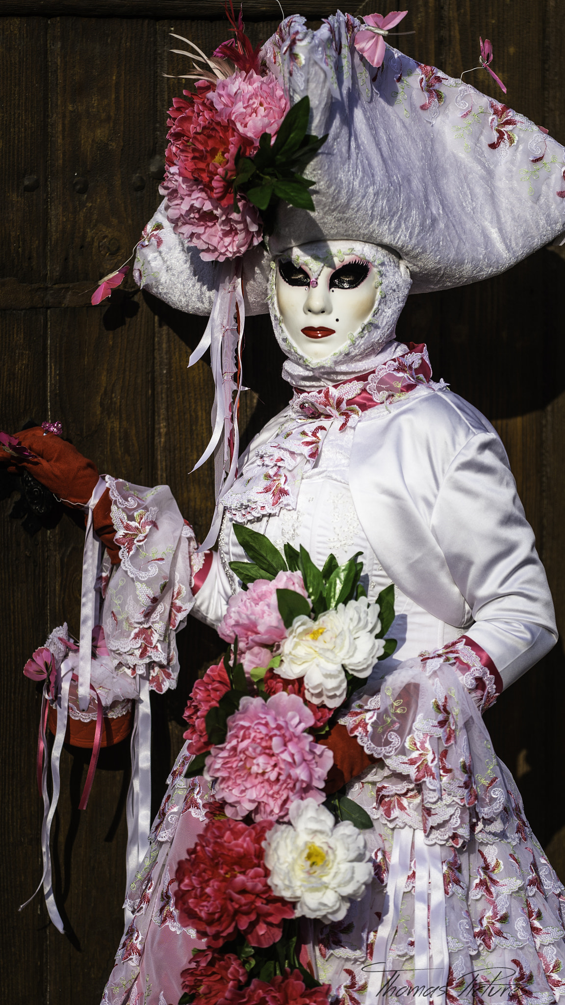Nikon D4S sample photo. Venezia in france photography