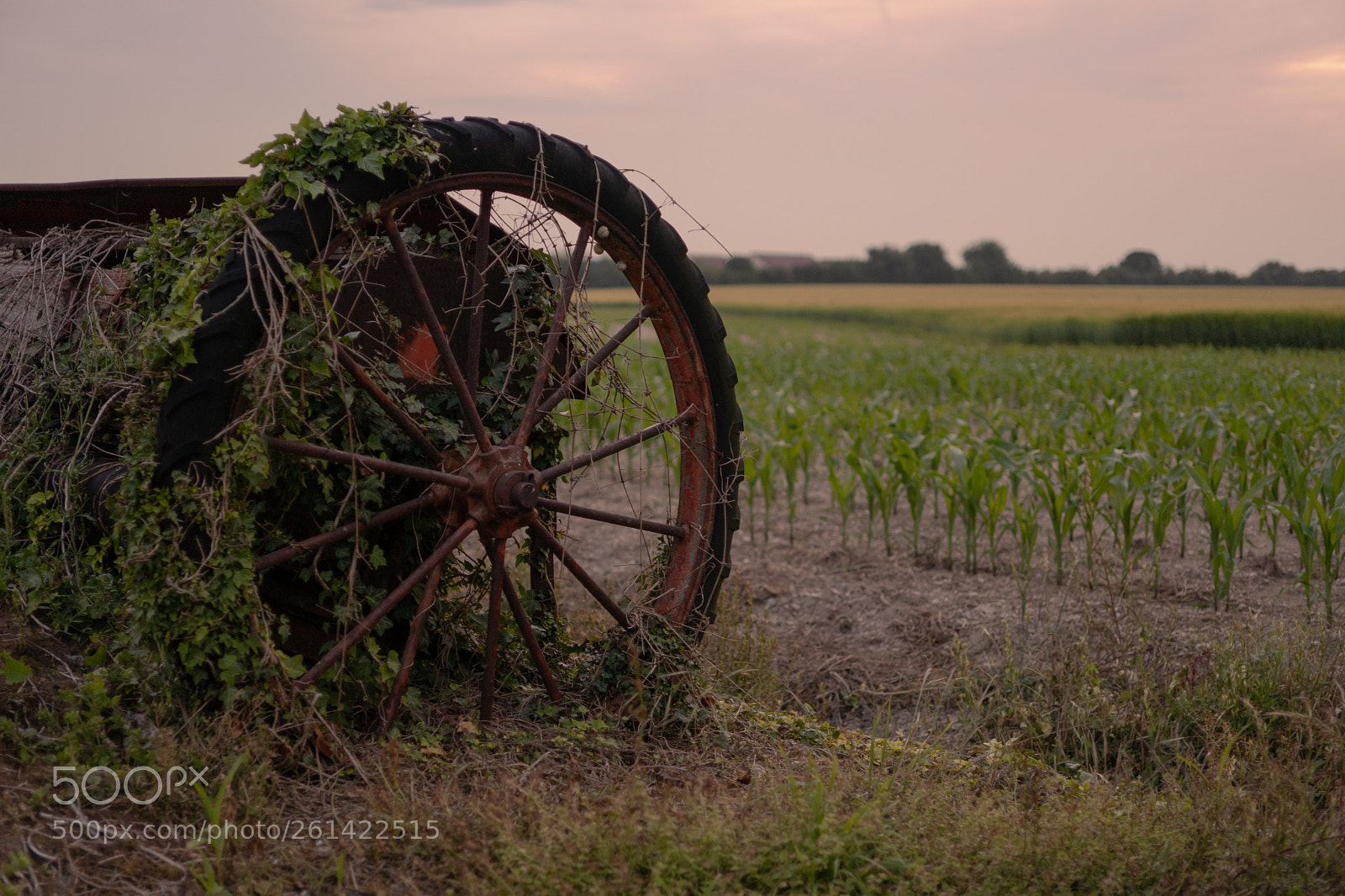 Sony a6300 sample photo. Chansac | france photography