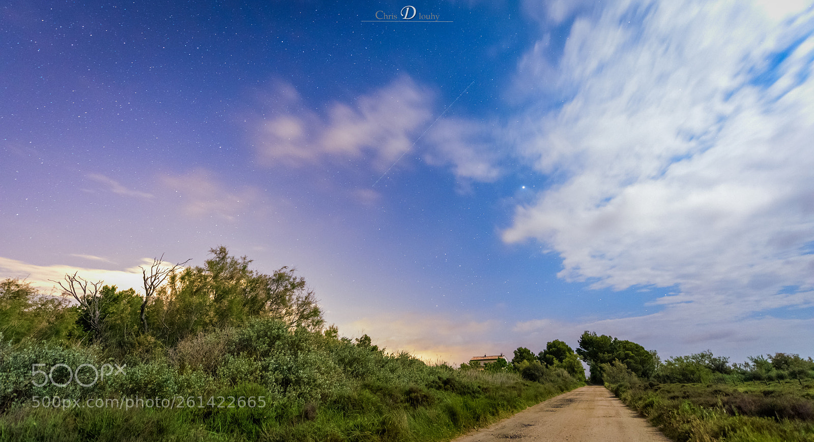 Nikon D810 sample photo. Light up the night photography