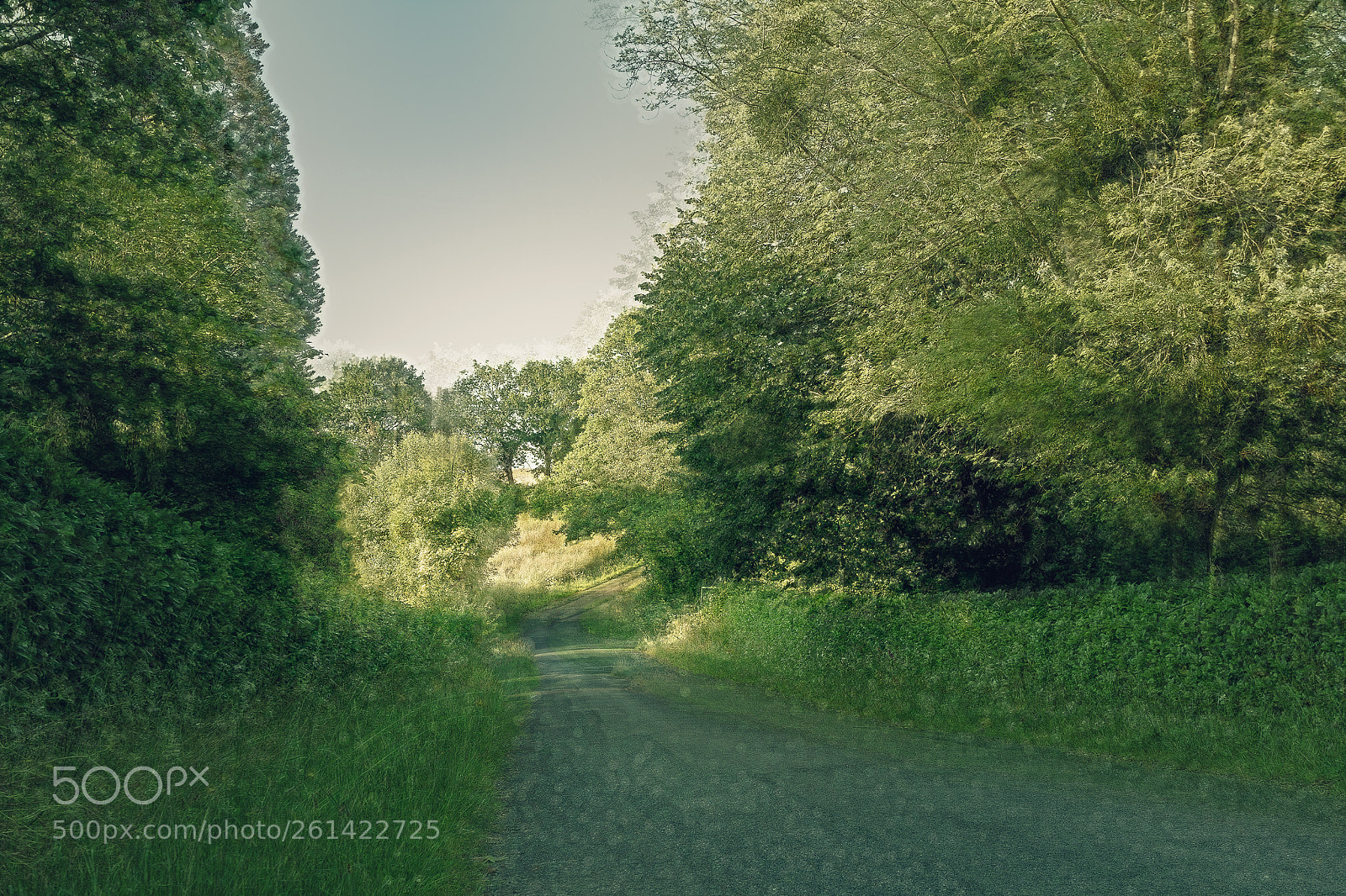 Canon EOS 7D sample photo. Il y une route photography