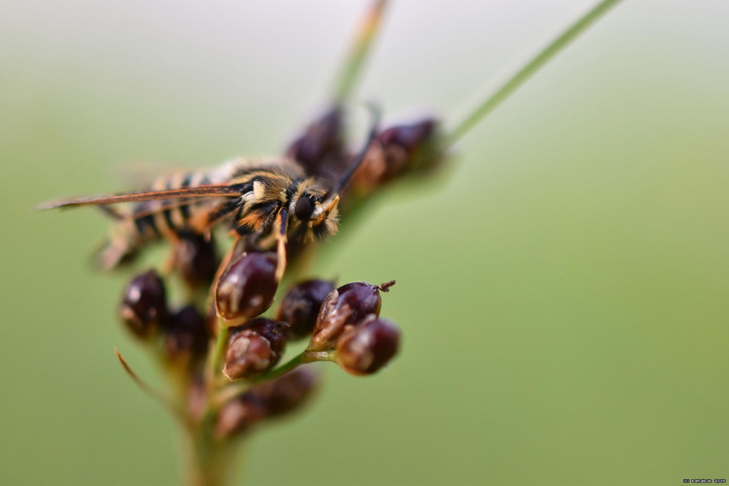 Nikon D5600 sample photo. Úgy gondolta megpihen photography