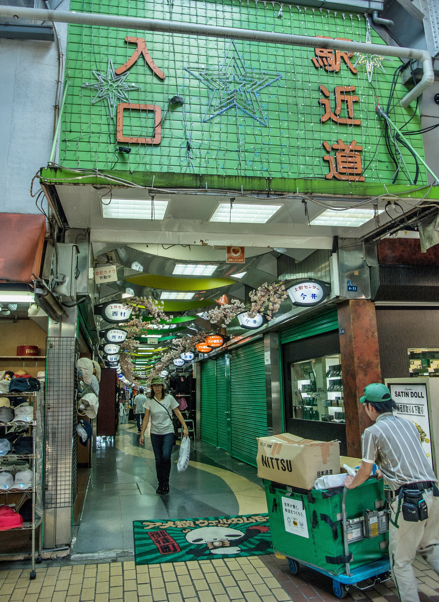 Nikon 1 V1 sample photo. Entrance to mago city photography