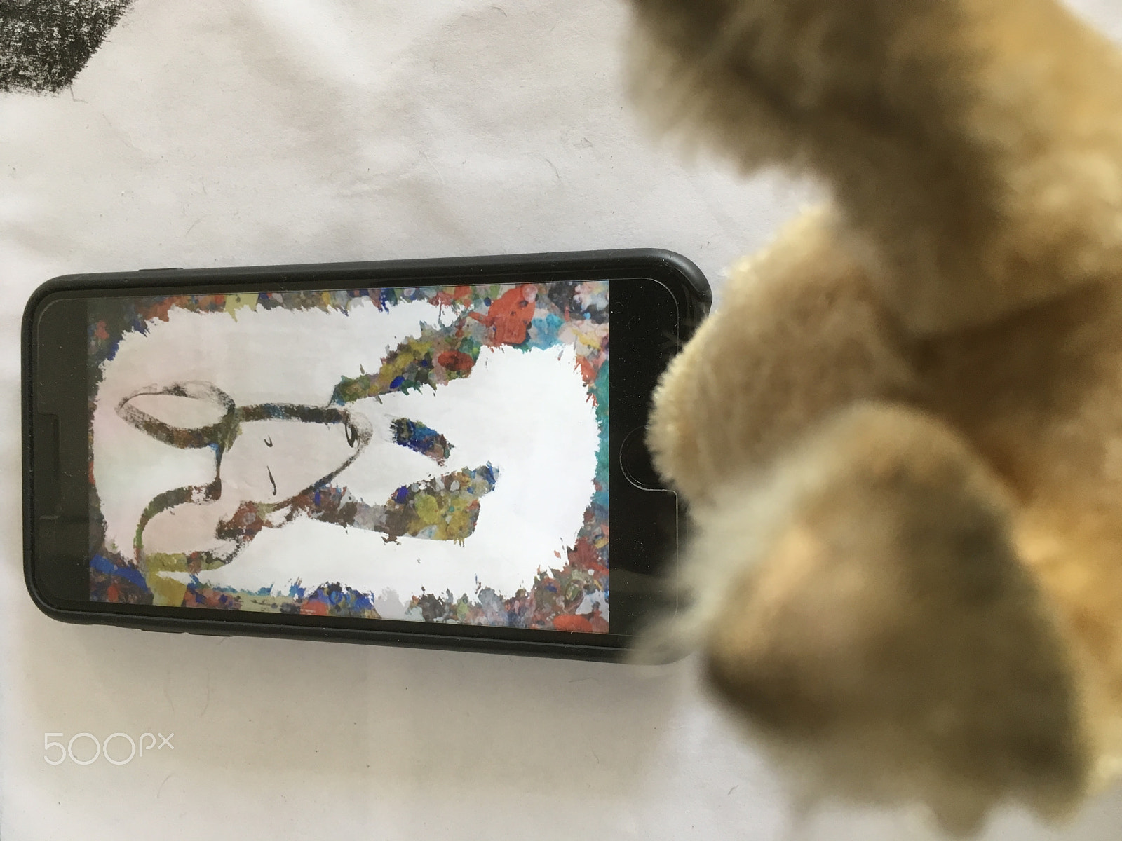 Apple iPad Pro sample photo. Kitsune = x.  set x value (series) photography