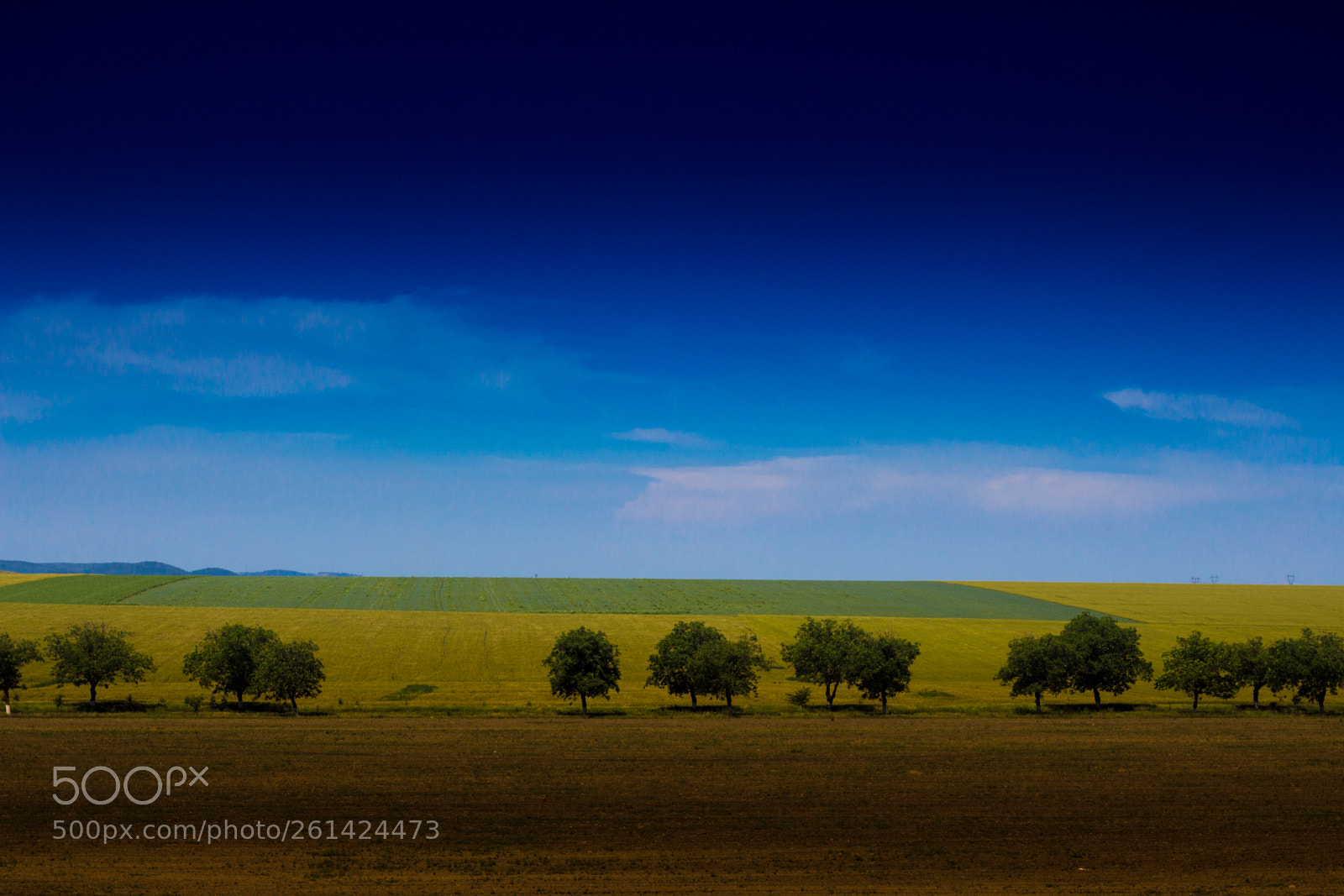 Canon EOS 700D (EOS Rebel T5i / EOS Kiss X7i) sample photo. The old romania photography