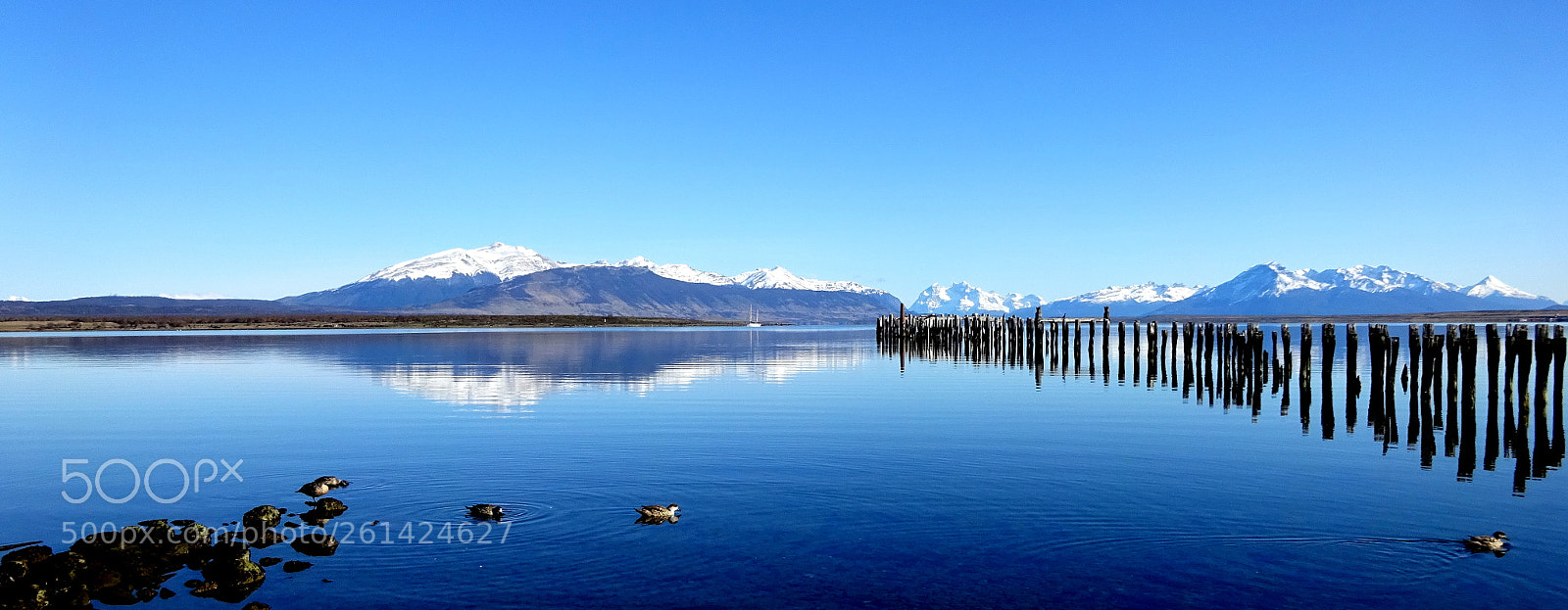Sony Cyber-shot DSC-WX350 sample photo. Viaje relampago chile&hijo () photography