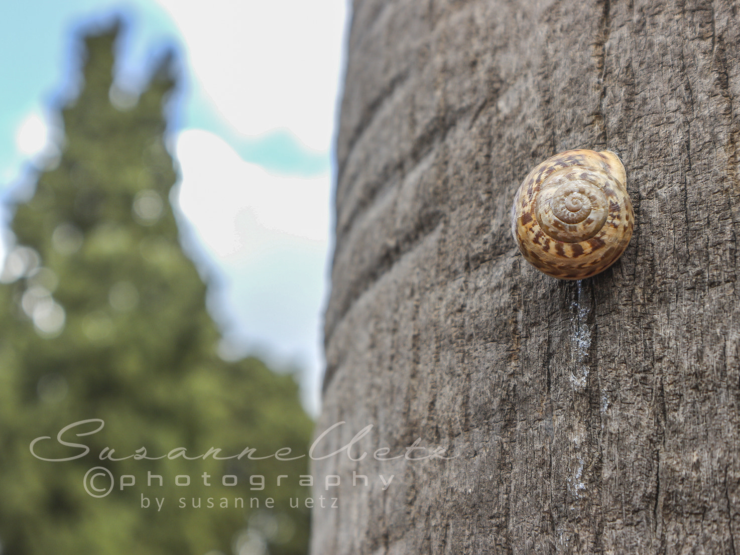 Canon EOS M10 sample photo. Leaving a trace photography