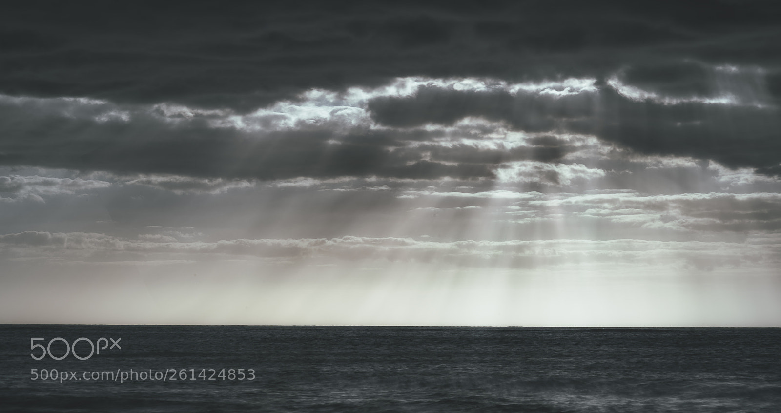 Nikon D750 sample photo. The only divine intervention photography