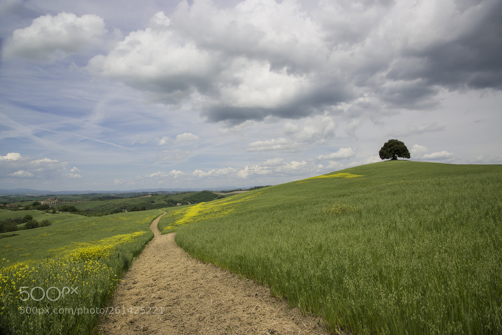 Nikon D800 sample photo. 800_1328-2.jpg photography