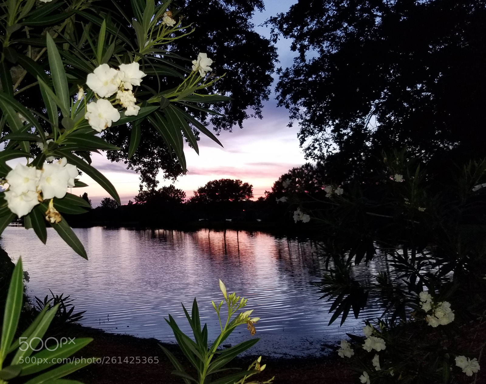 Samsung Galaxy S8+ sample photo. Untitled photography