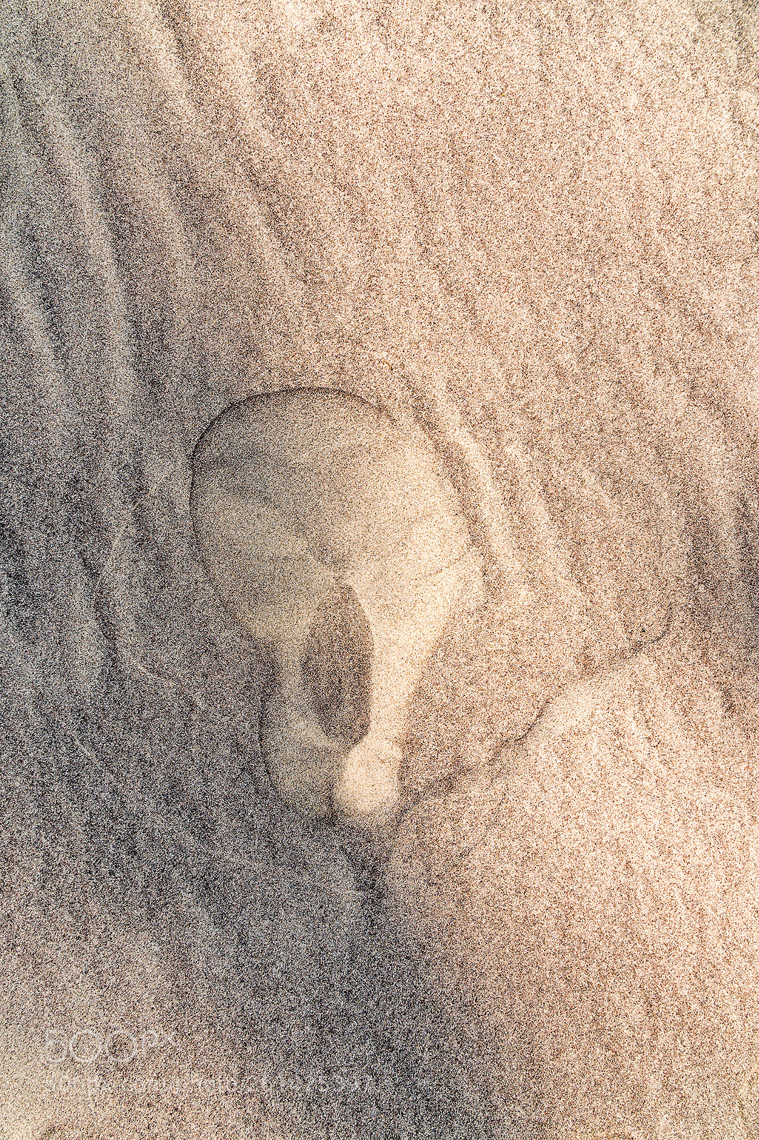 Sony a6300 sample photo. Alien on the beach. photography
