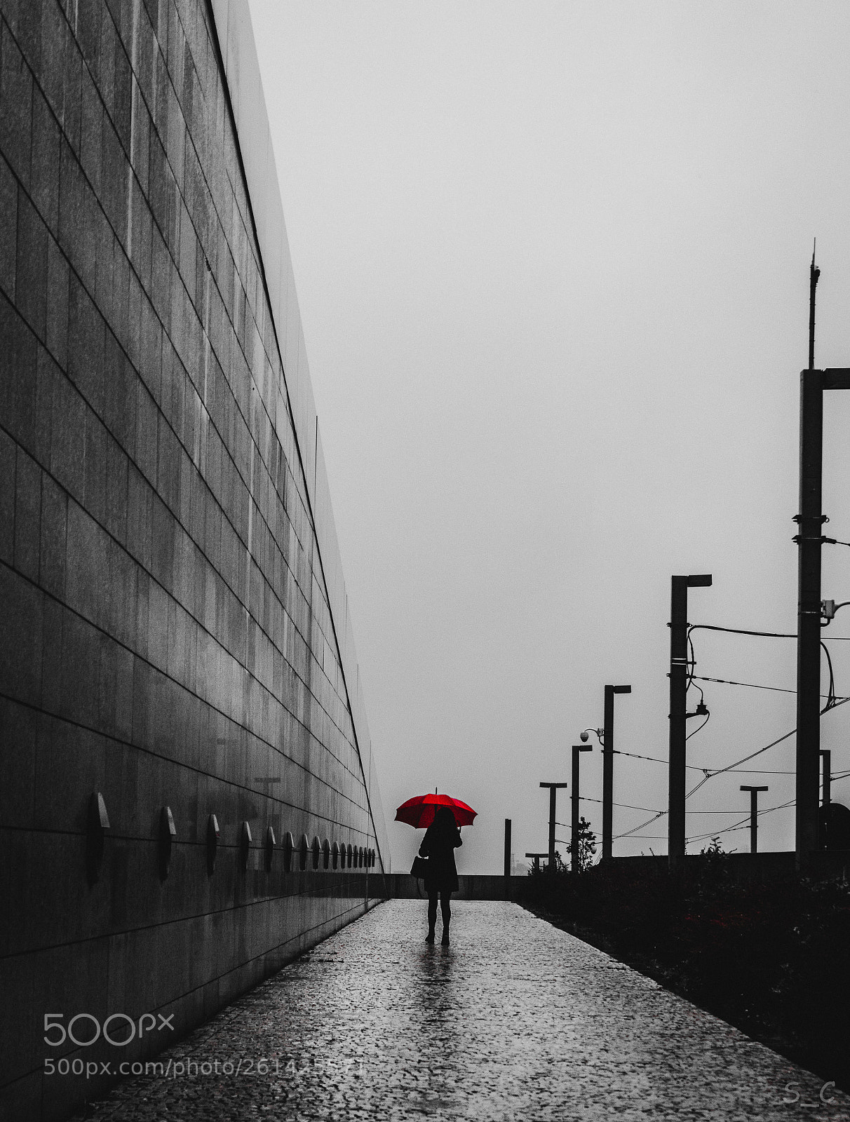 Nikon D3300 sample photo. Woman with the red photography