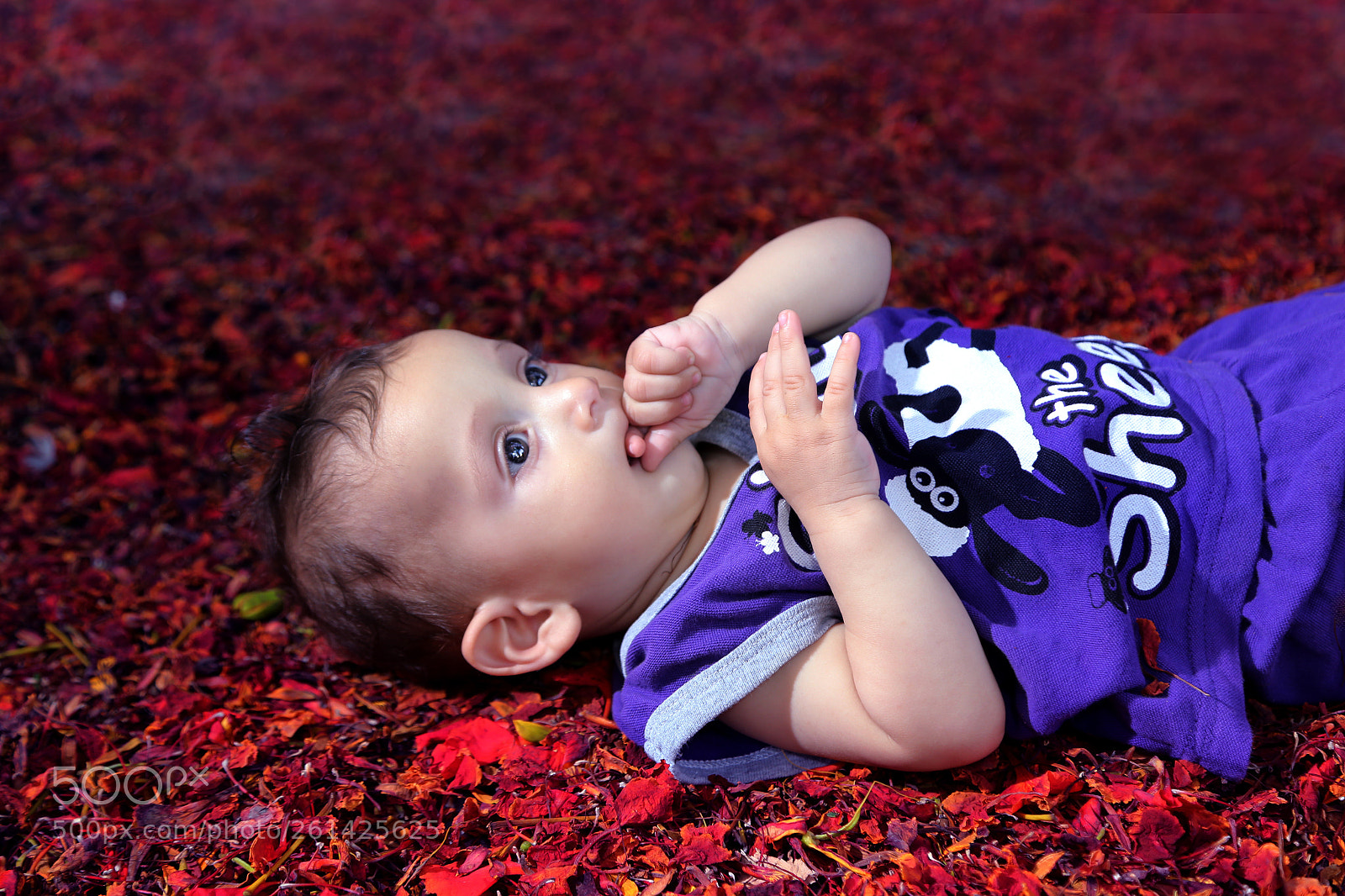 Canon EOS 6D sample photo. Alaa photography