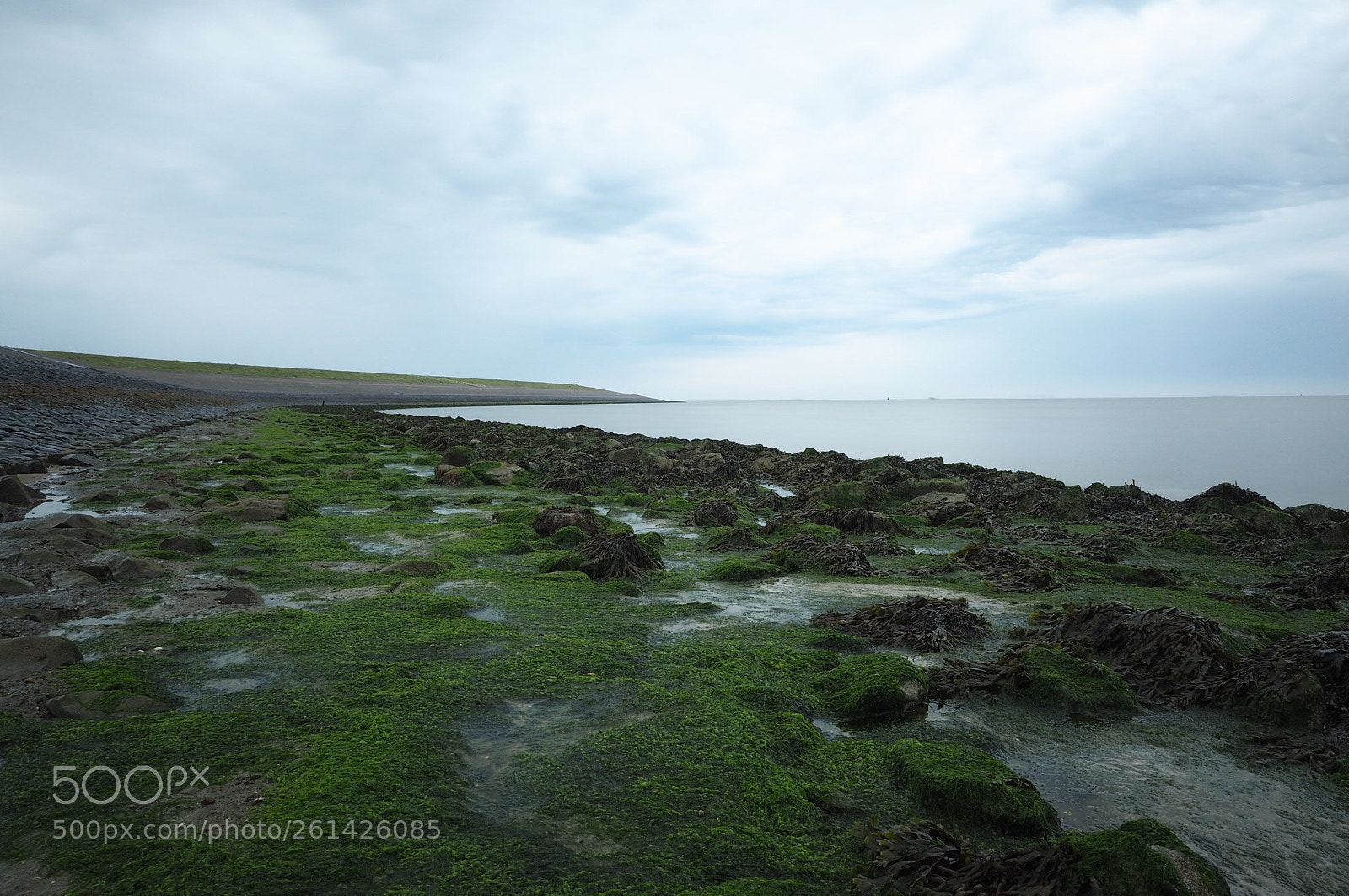 Olympus OM-D E-M5 II sample photo. Coast den helder, netherlands photography