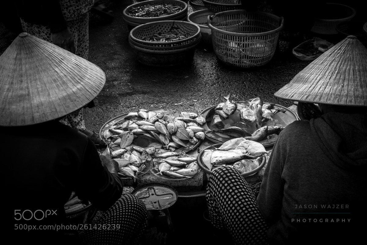 Nikon D750 sample photo. Catch of the day photography