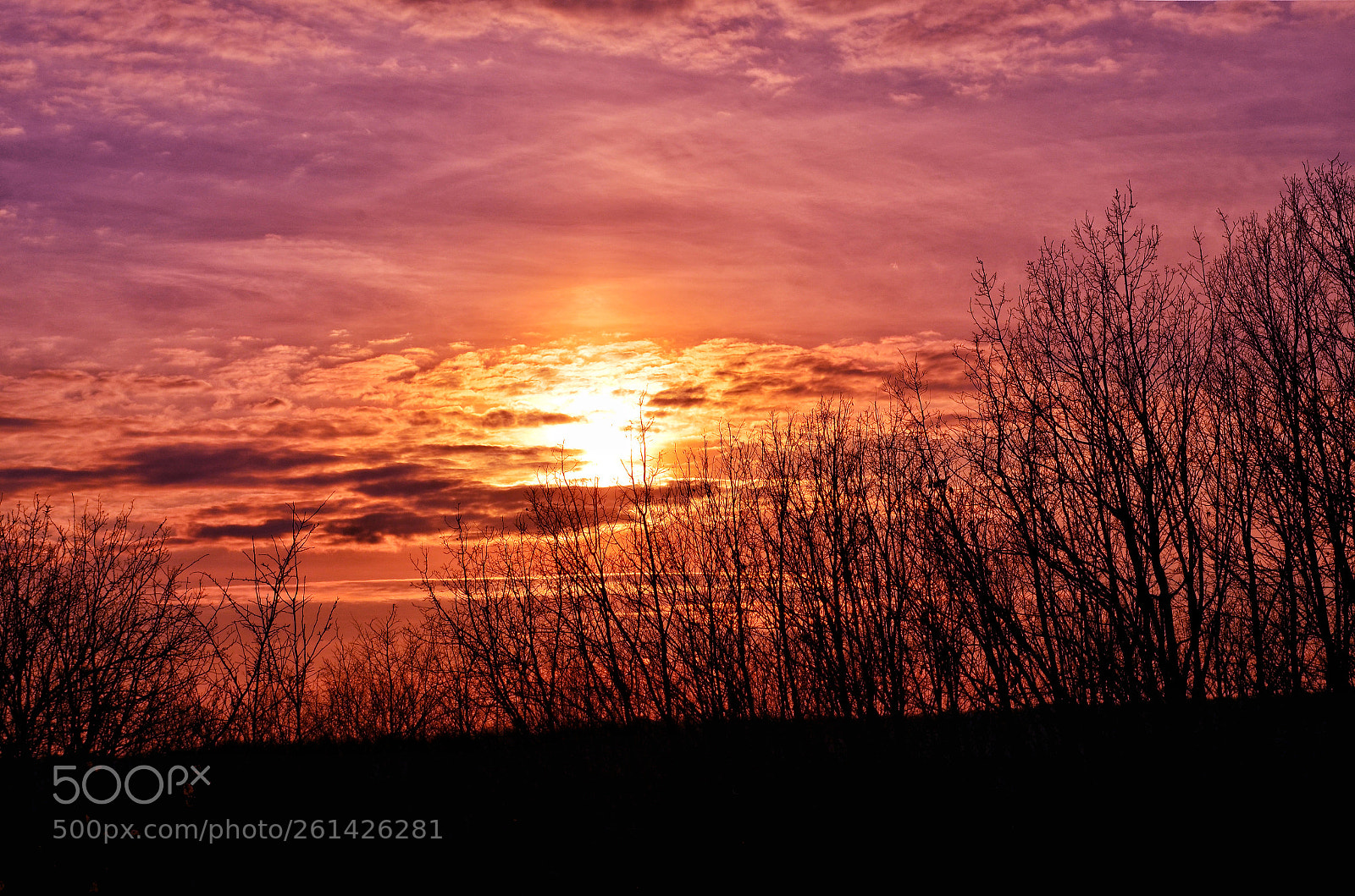 Nikon D5100 sample photo. Burning sky photography