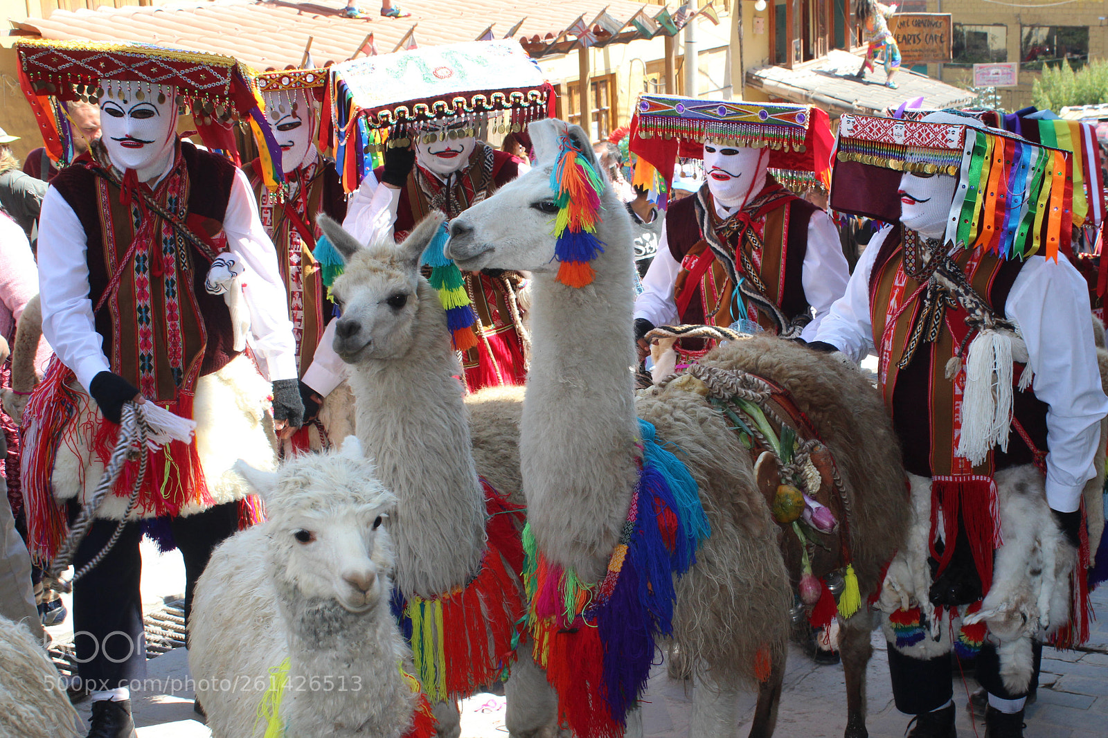 Canon EOS 600D (Rebel EOS T3i / EOS Kiss X5) sample photo. Life of the llamero photography