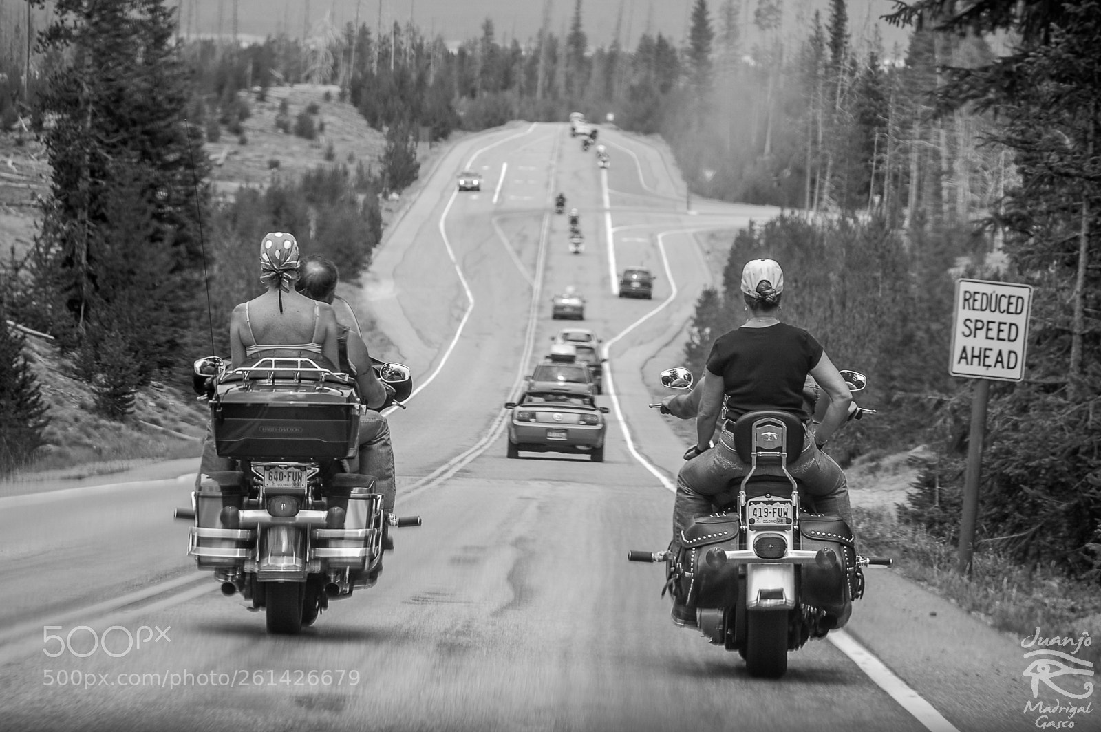 Nikon D40 sample photo. Easy rider photography