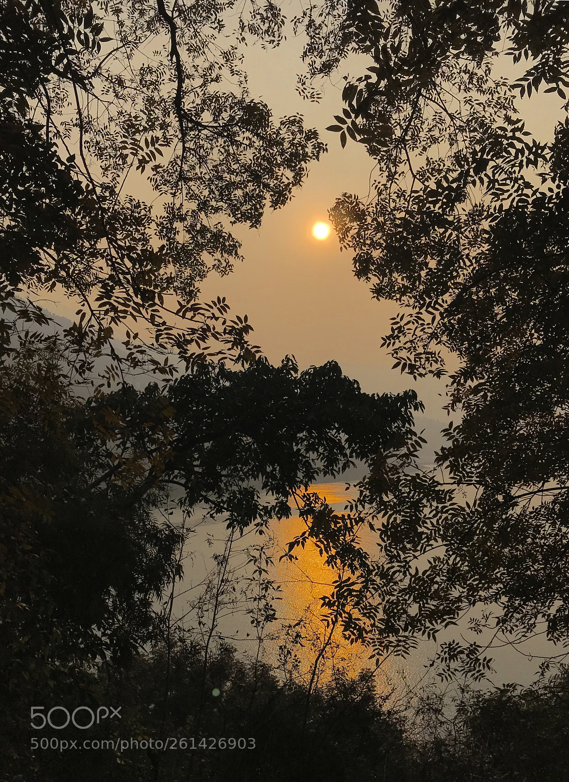 Apple iPhone 7 Plus sample photo. Untitled photography