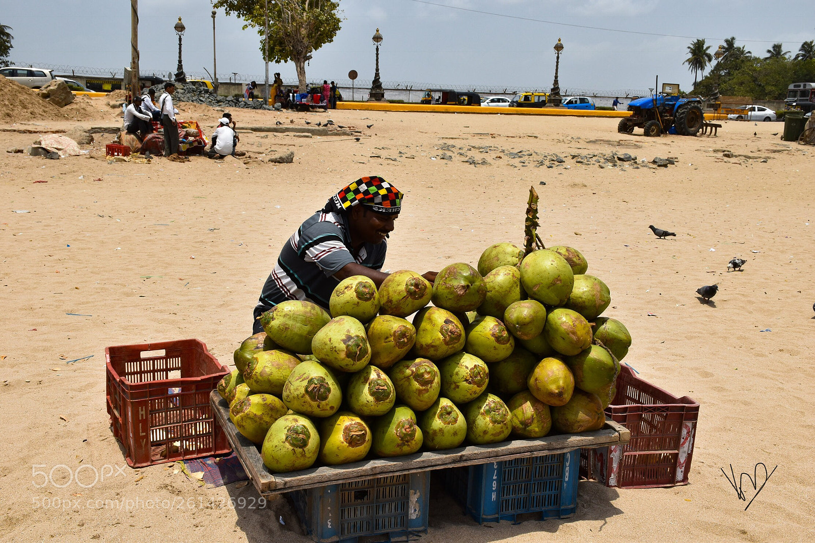 Nikon D5600 sample photo. Coconut man photography