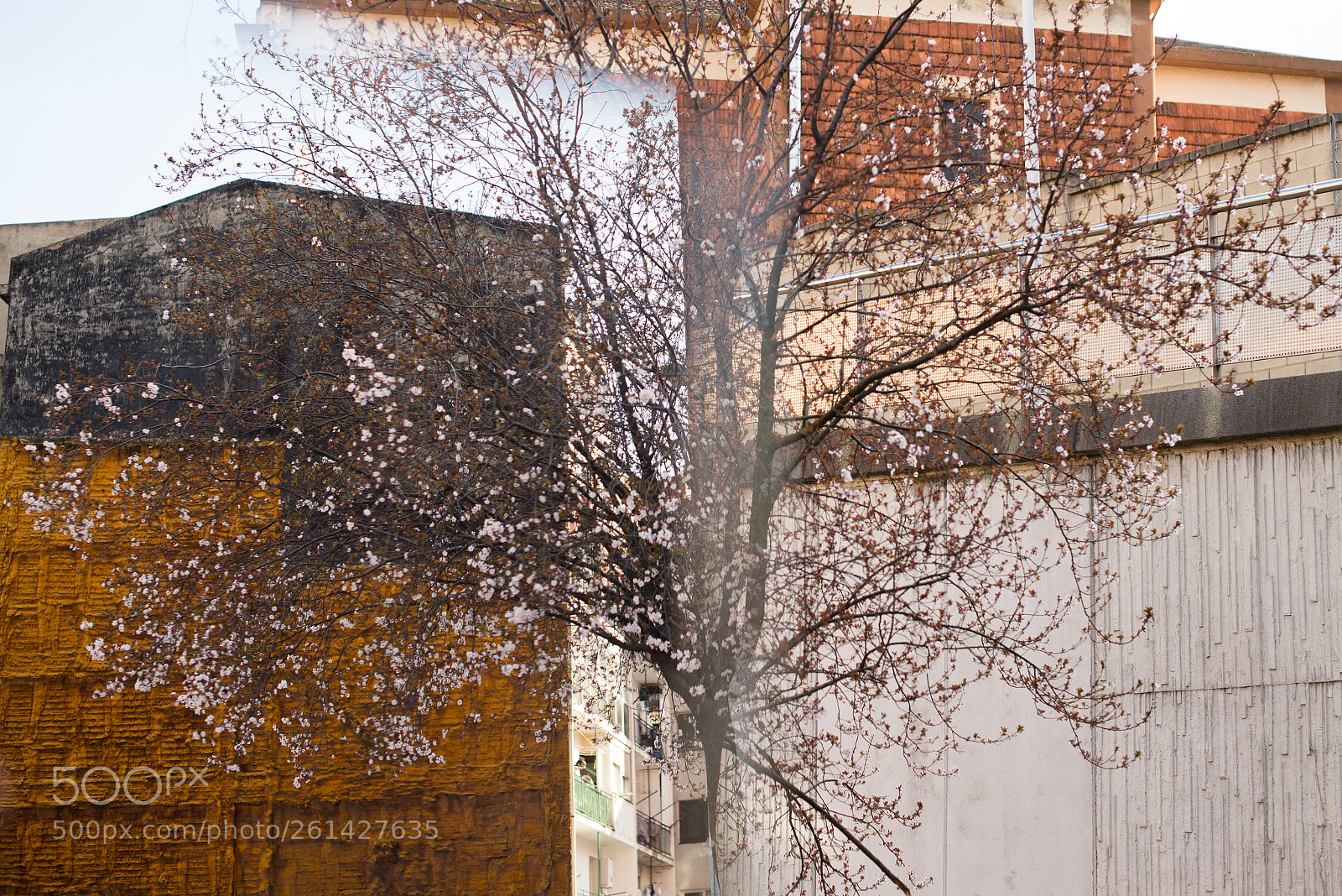 Nikon D600 sample photo. Untitled het c-c project photography