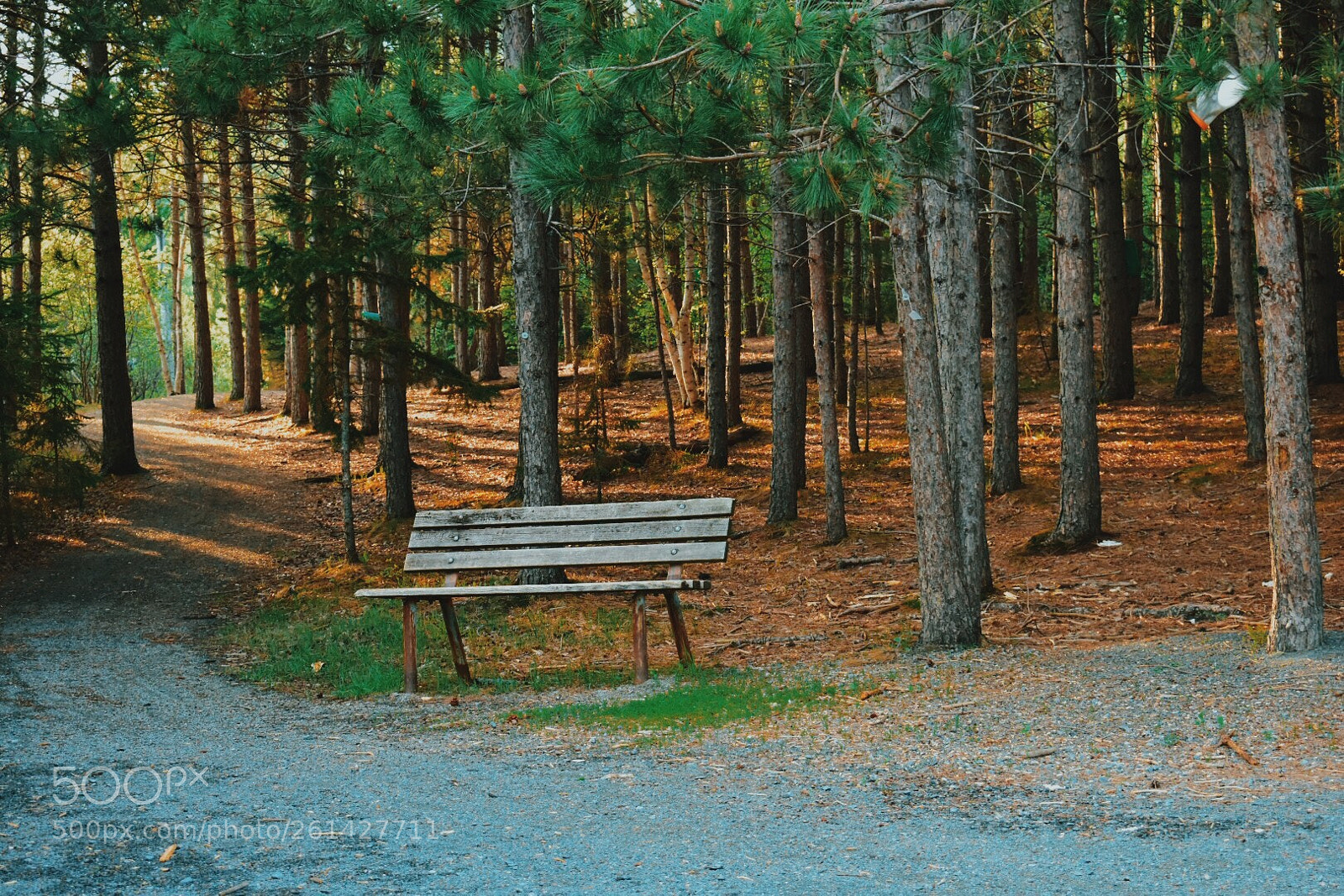 Nikon D3400 sample photo. Have a seat photography