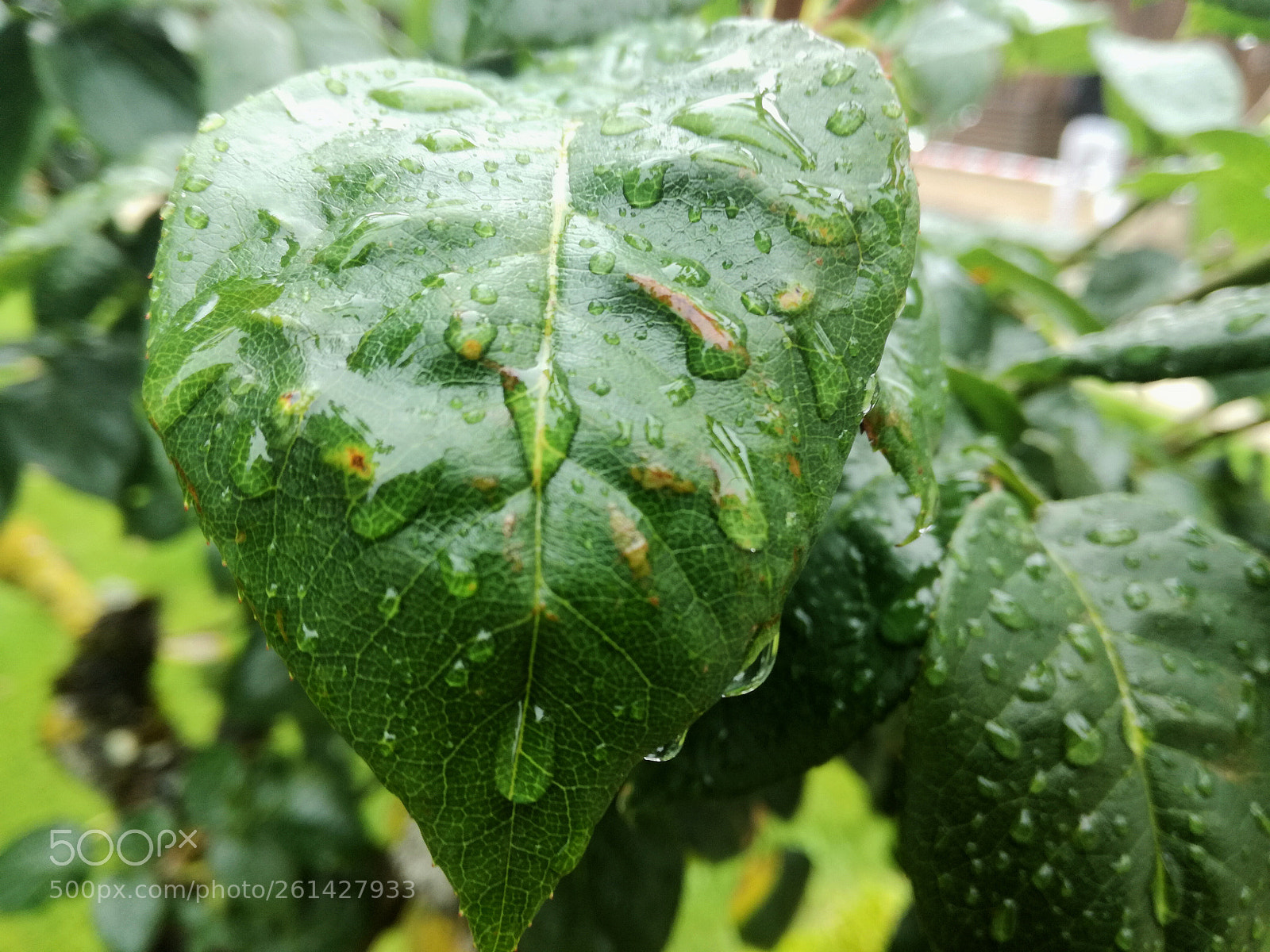 HUAWEI P9 LITE sample photo. Three dimensions photography