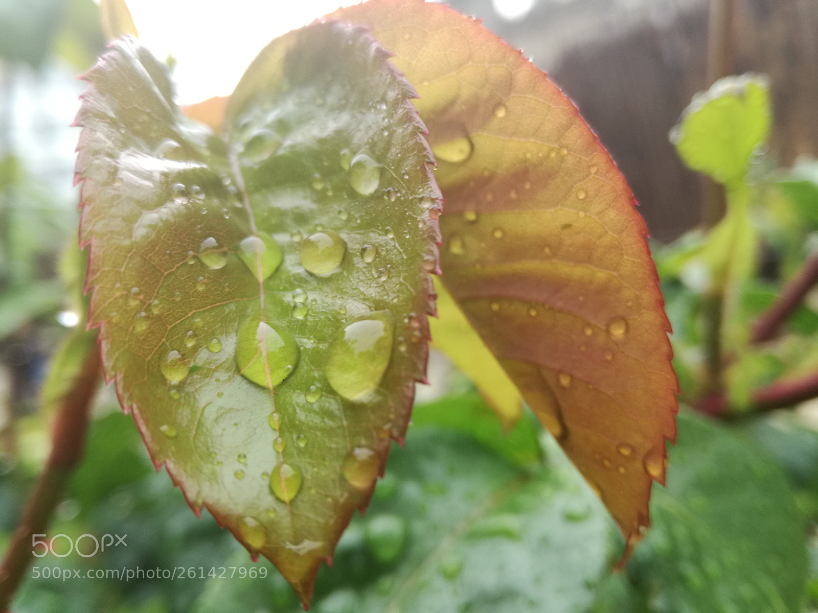 HUAWEI P9 LITE sample photo. Three dimensions photography