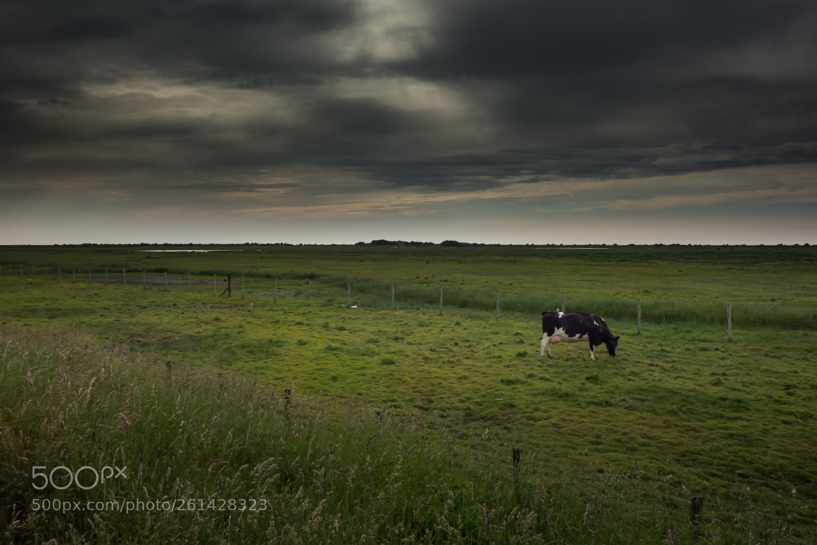 Sony Cyber-shot DSC-RX100 sample photo. Clouds at sunset photography