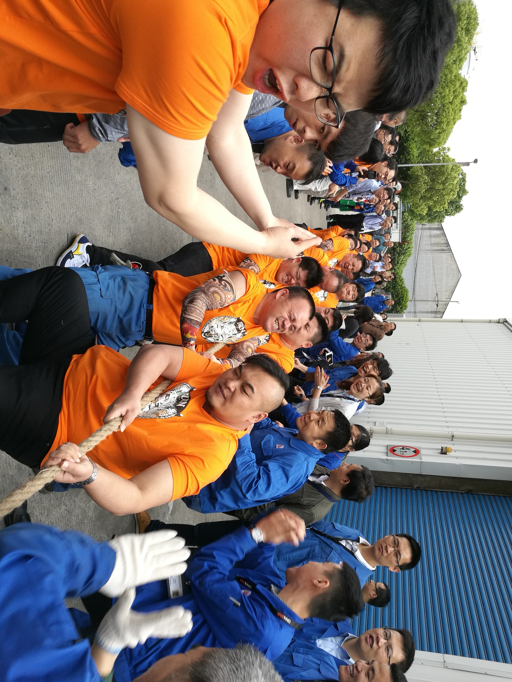 HUAWEI Honor 8 sample photo
