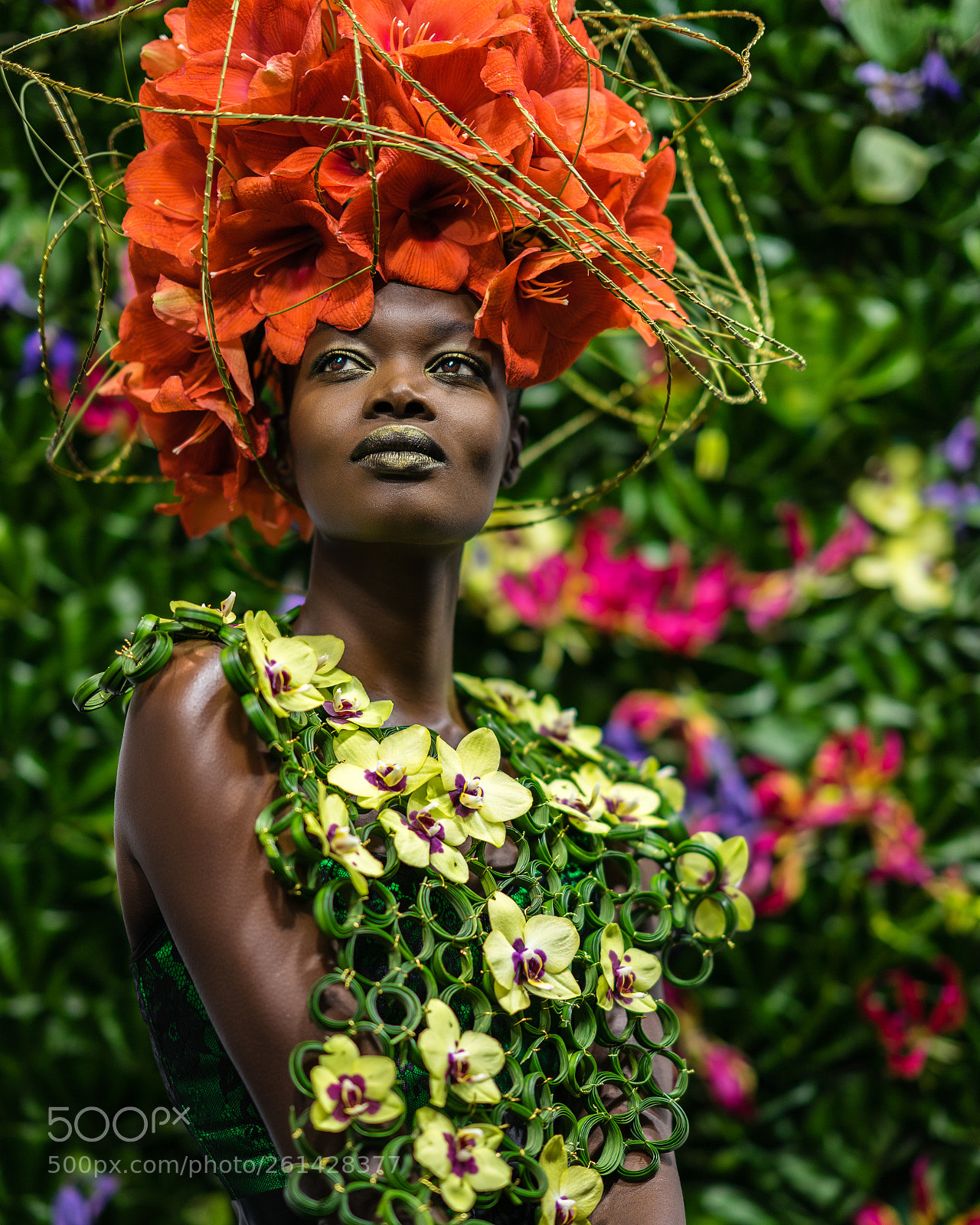 Sony a7 II sample photo. Aluad photography