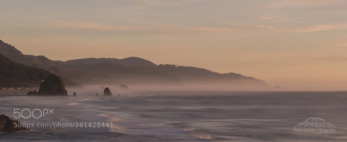 Nikon D800 sample photo. Cannon beach mist photography