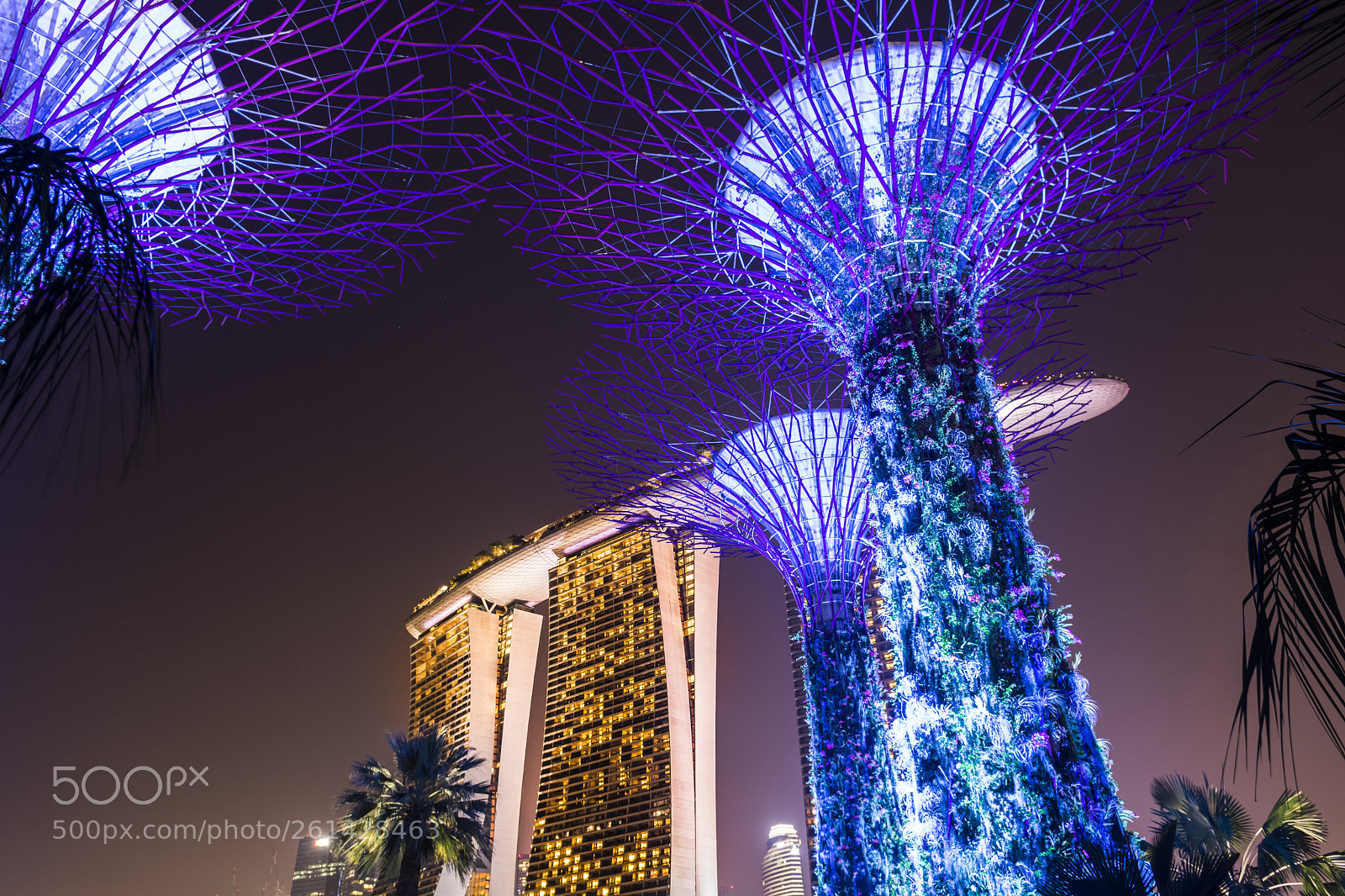 Nikon D7100 sample photo. Singapore city lights photography