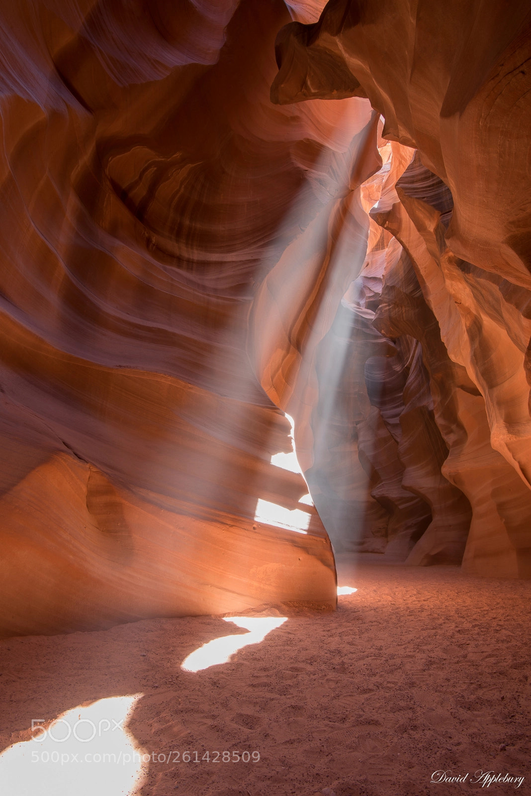 Nikon D800 sample photo. Angels lamp photography