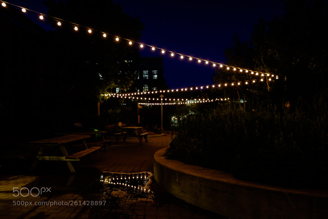 Fujifilm X-T1 sample photo. Summerwed julalg photography