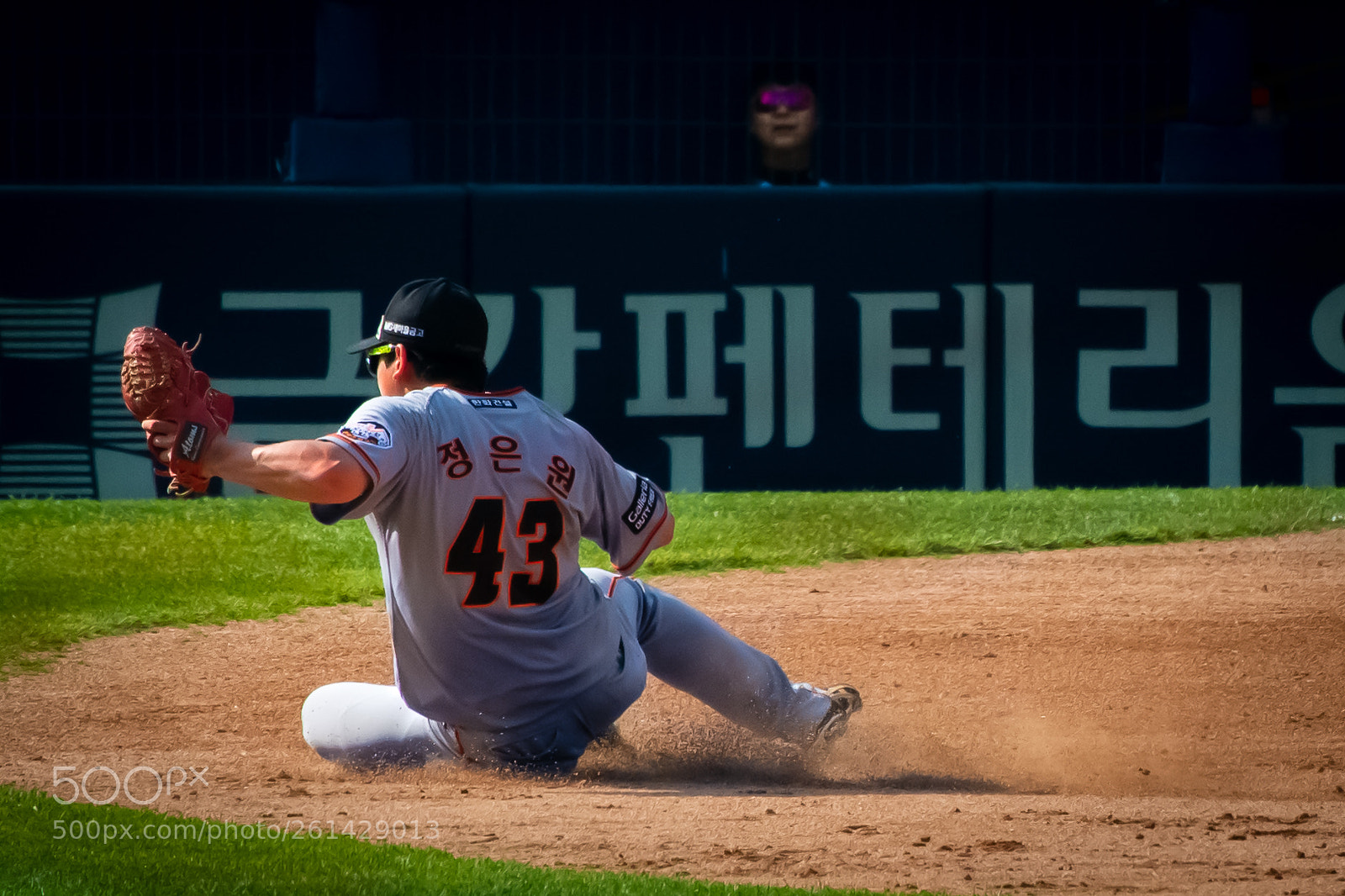 Nikon D7100 sample photo. J.e.w eagles 43 photography